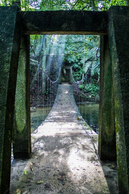 河流热带丛林中一座桥的垂直镜头公园绿色木头