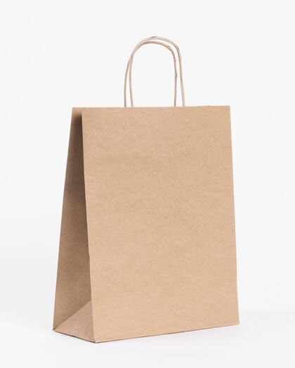 销售纸袋概念模型设计购物纸袋