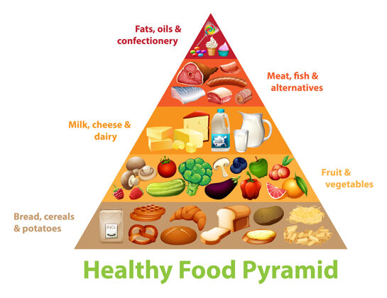 教育健康食品金字塔图科学糖果科学