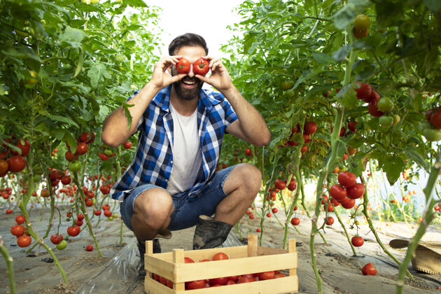番茄勤劳的农民在花园里用番茄蔬菜做傻笑的脸自然温室农民