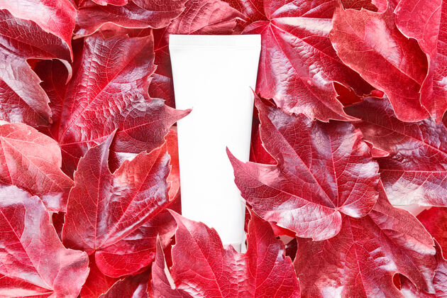 树叶在红色的野生葡萄叶背景上模拟化妆管润肤霜 洗发水 护手霜美丽护肤品自然
