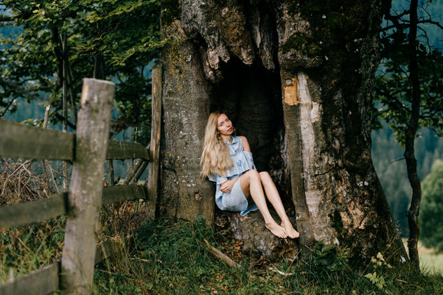 坐着年轻漂亮的光脚金发碧眼的女孩穿着蓝色的裙子坐在老树上木头夏天乡下