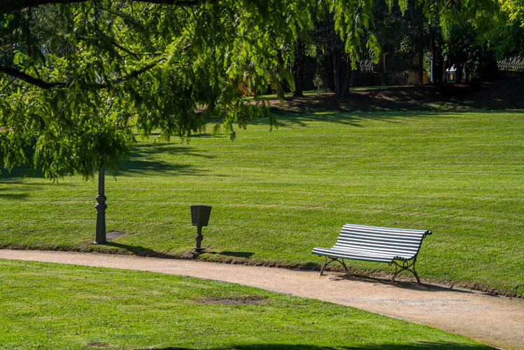 自然在一个翠绿的公园里 有整齐的草坪和林地 在人行道或小径边上有一个木制板条长凳道路叶树