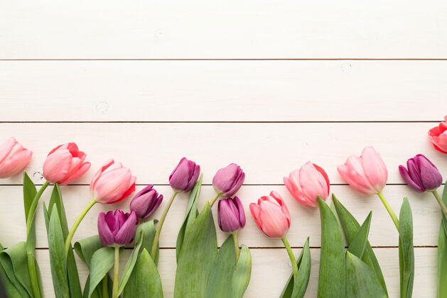 三月春暖花开粉红色和紫色的郁金香在白色的木桌子背景上木头花瓣叶子