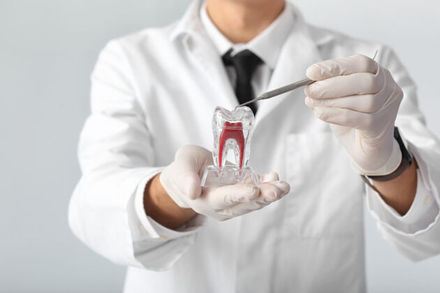 牙科光表面有塑料牙的男牙医 特写牙医健康整形