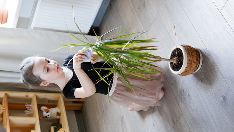 国内小女孩正在家里花盆里种一朵花她擦拭植物的叶子女人花盆自然