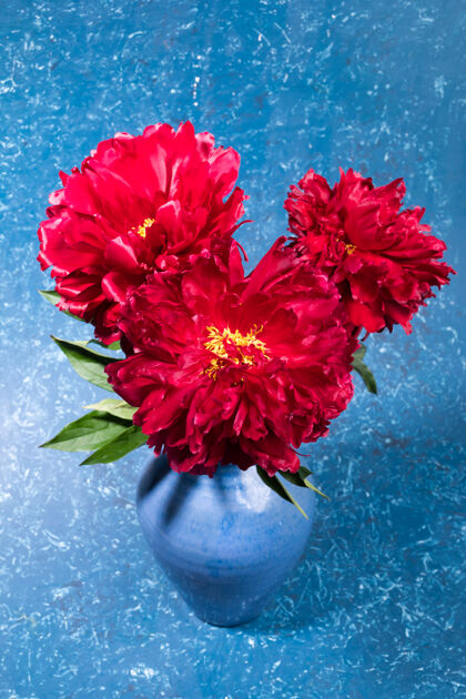爱一束红色牡丹花镶嵌在蓝色陶瓷花瓶中 背景为蓝色纹理明亮的节日贺卡给母亲或妇女的节日鲜花垂直方向选择性聚焦陶瓷花瓶温柔自然