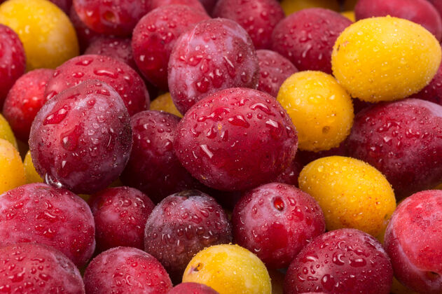 饮食黄色和红色的李子在水滴中黄色浆果成熟