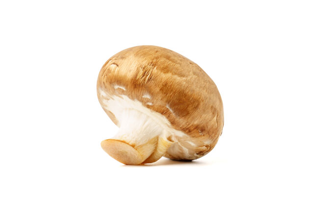 真菌白色背景上的棕色蘑菇营养有机饮食