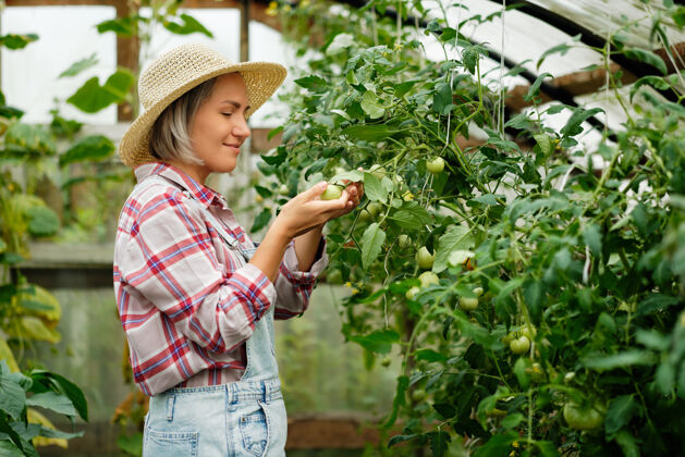 篮子戴帽子的可爱女孩在家里工作温室.秋季蔬菜收获享受幼儿园生产