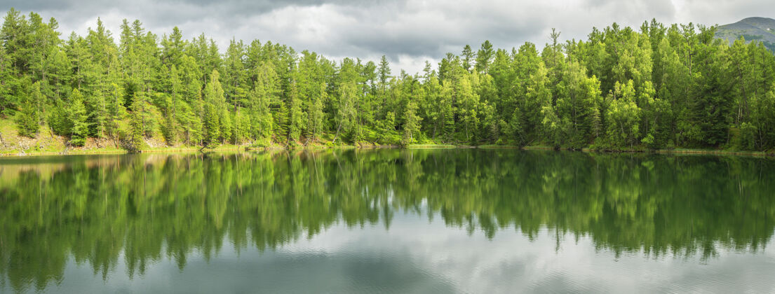云景美丽倒影的森林湖池塘景色夏天