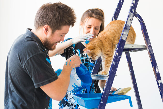 工作猫倒画情侣肖像卷仪器修理
