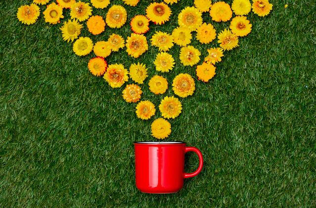 健康蒲公英花和一杯咖啡在绿草上草地壁板自然