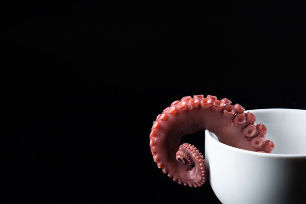 西班牙语黑底炖章鱼触角触角没有身体复制空间