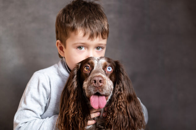 血统学龄前男孩拥抱微笑的巧克力小俄罗斯猎犬与不同颜色的眼睛可爱有趣特写