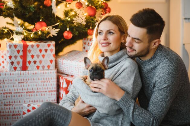 家庭圣诞节前夕 一对年轻漂亮的夫妇在喜庆的新年客厅里和他们的狗玩耍关系圣诞树毛衣