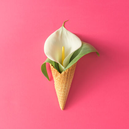 冰带有马蹄莲花和粉色叶子的冰淇淋蛋筒锥勺开花