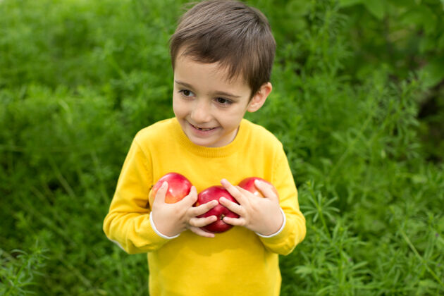 健康可爱的小男孩在阳光明媚的草地上摘苹果白天健康营养微笑脸婴儿
