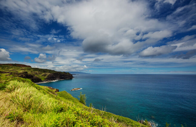美国夏威夷毛伊岛美丽的热带景观岛屿绿松石阳光