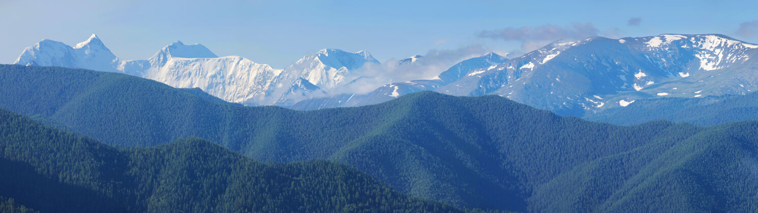 阿尔泰贝鲁卡山是阿尔泰和西伯利亚的最高点海拔森林山