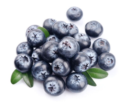 配料白叶蓝莓新鲜水果饮食
