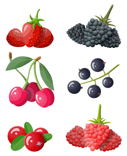 蔓越莓浆果图标设置在白色隔离樱桃浆果蓝莓
