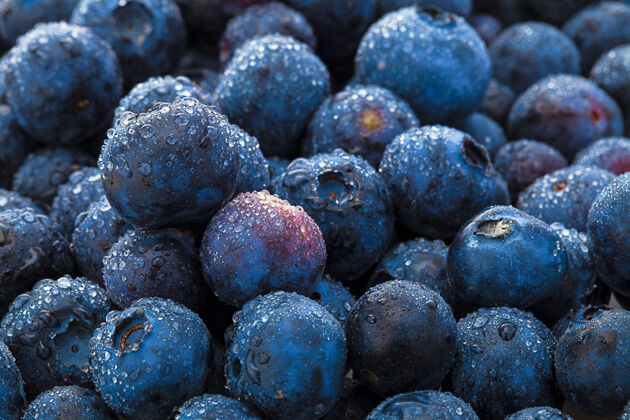 堆蓝莓水果背景水滴在成熟的甜蓝莓上自然甜点水果