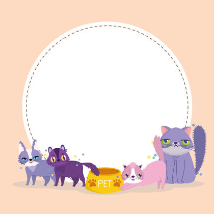 猫可爱的猫宠物动物与食物和空白圆横幅矢量插图卡片动物国内