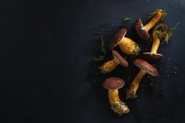 健康森林里的野生蘑菇 可以在黑暗中烹调background.view视图从上面自然晚餐饮食