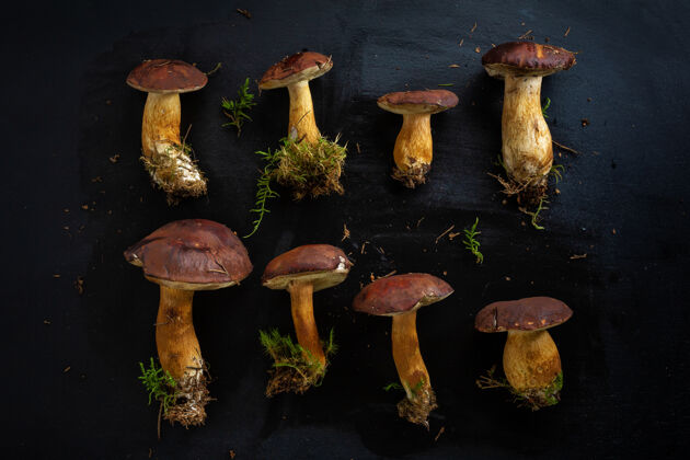 蘑菇森林里的野生蘑菇 可以在黑暗中烹调background.view视图从上面棕色烹饪饮食