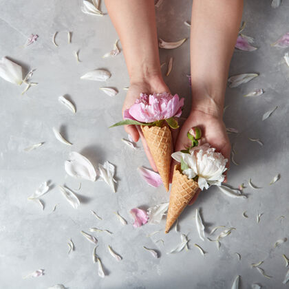 温柔女人手里拿着一个装着漂亮的粉色 白色花朵的圆片杯手花瓣在灰色的石头背景上 放置文字冷冻冰淇淋花瓣