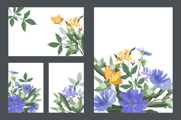 叶艺术花卉贺卡和名片卡片上有蓝色的菊苣 黄色的蝴蝶 绿色的茎和叶子树叶蓝色还有黄色的小花白色背景上的花是孤立的春天开花自然