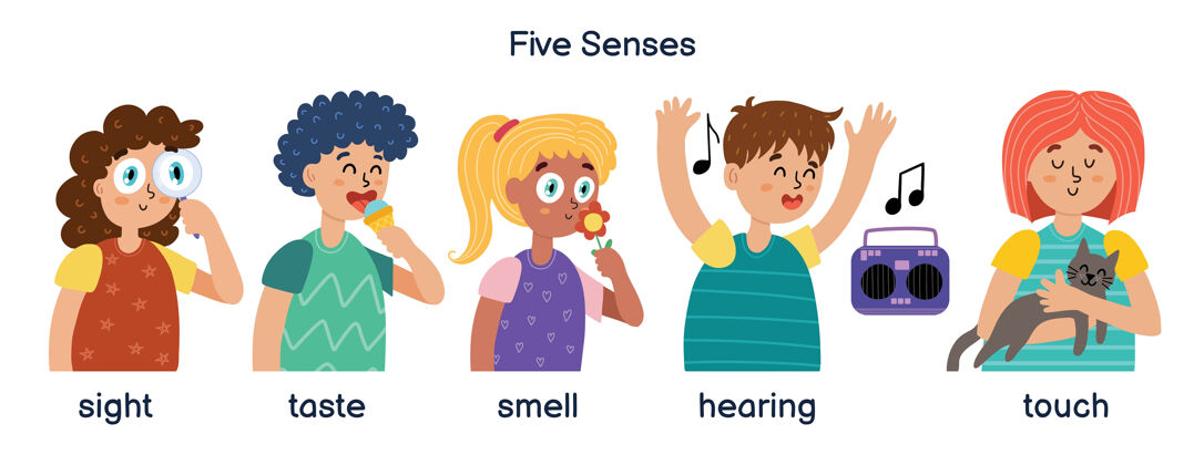 卡通男孩和女孩们展示了五个人感官孩子们准备学习材料.视线味觉 嗅觉 听觉和触觉感觉味触摸