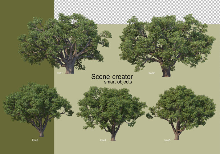 树各种树木的3d渲染隔离抽象自然树枝