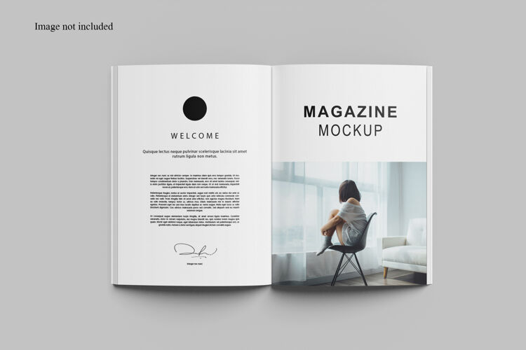 模型打开杂志模型设计隔离小册子优雅演示
