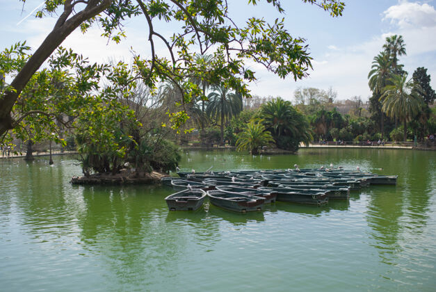 德在巴塞罗那 加泰罗尼亚 西班牙的ciutadella公园里有船的池塘地中海旅游城市