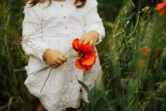 乡村小女孩穿着白色裙子站在罂粟地里 手里拿着一束罂粟花的剪影照片服饰自然庄稼
