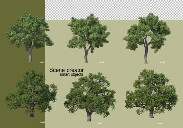 环境各种树木的3d渲染隔离叶抽象自然