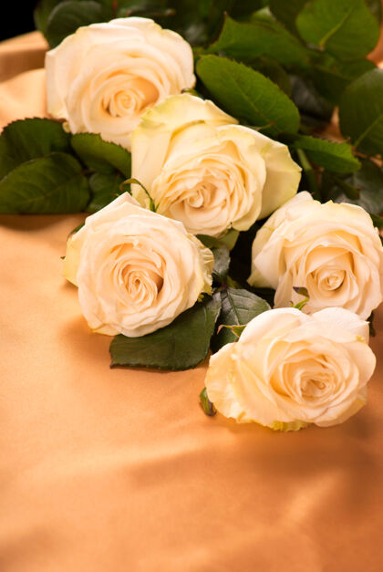包装金色丝绸背景上的白玫瑰节日形状优雅
