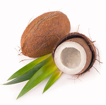 棕色白底椰子叶健康吃营养