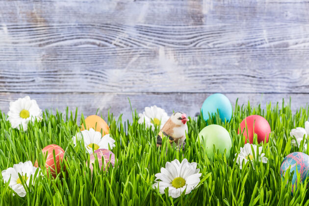 季节复活节背景与鸡蛋草和鲜花 木制背景自然传统复活节