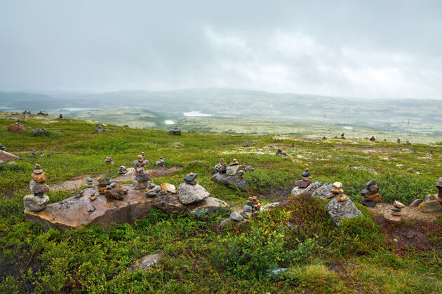 蔬菜俄罗斯科拉半岛高山苔原的夏季植被气候环境苔藓