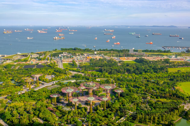 景观新加坡全景海湾花园 超树林和突袭景观船舶.航空查看著名无人机现代