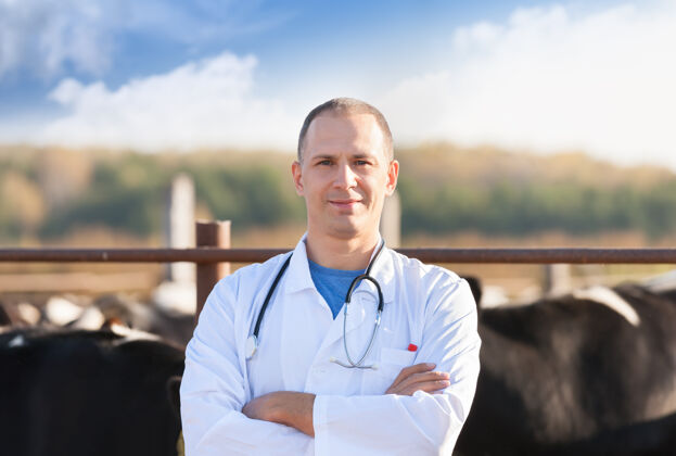 医生一个兽医的肖像在农场养牛动物牛肉牲畜