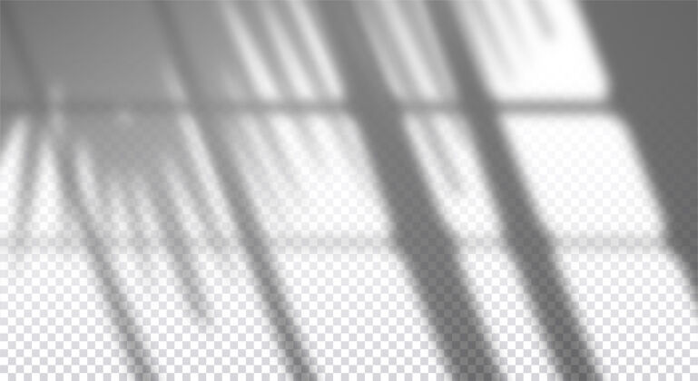 倒影逼真的透明投影与棕榈枝在墙上的窗口 重叠的照片效果棕榈树枝影子