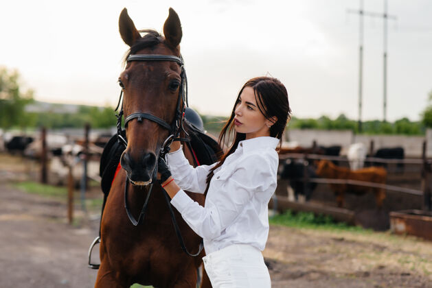 马鞍一个年轻漂亮的女骑手在牧场上的纯种种马旁摆姿势骑马 赛马站立女人动物