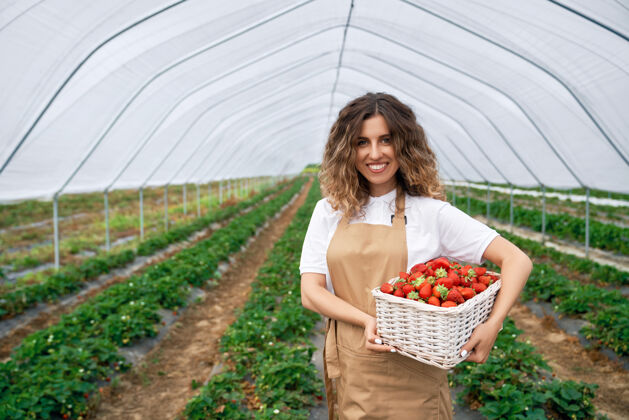 农业微笑的女人拿着装满草莓的篮子栽培篮子耕作