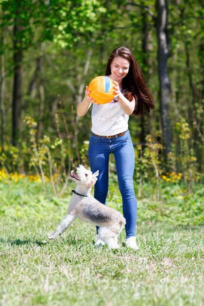 训练女孩在运动球训练狗在夏季公园活跃善良玩耍