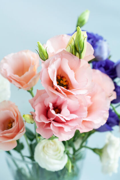 玫瑰美丽的粉红色桔梗花盛开着绿叶粉红花花卉设计切花