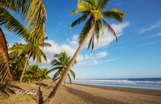 蓝色哥斯达黎加美丽的热带太平洋海岸海滩哥斯达黎加中美洲